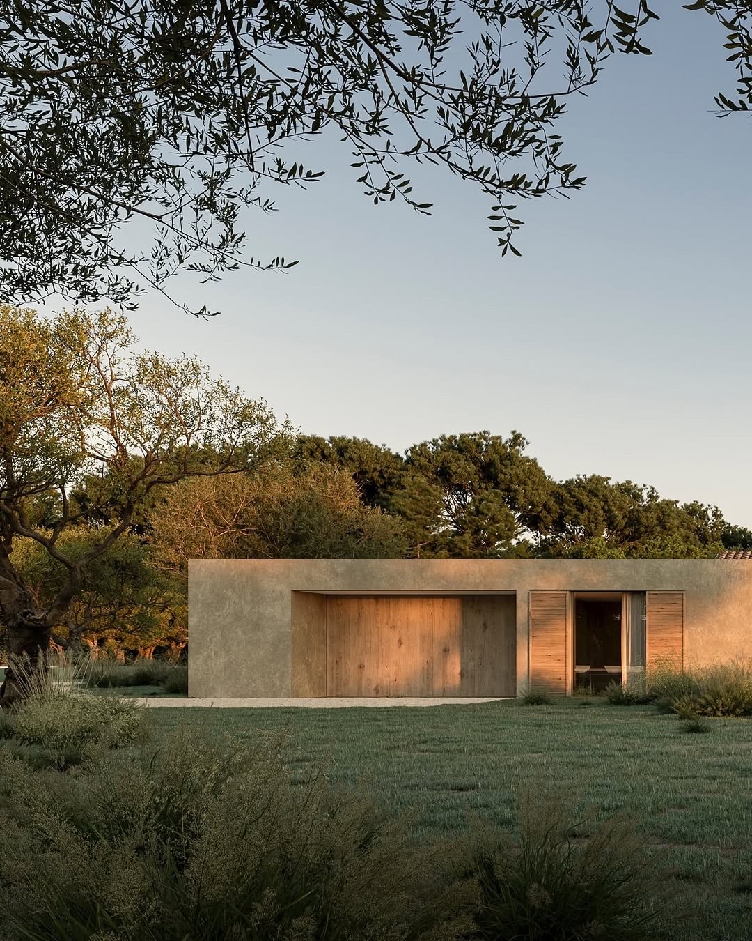 Arquitectura contemporánea rodeada de olivos y vegetación.